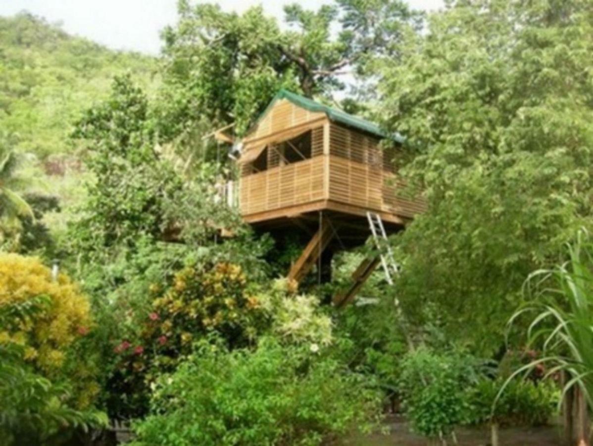 Domaine De Robinson Hotel Les Anses-d'Arlets Ngoại thất bức ảnh
